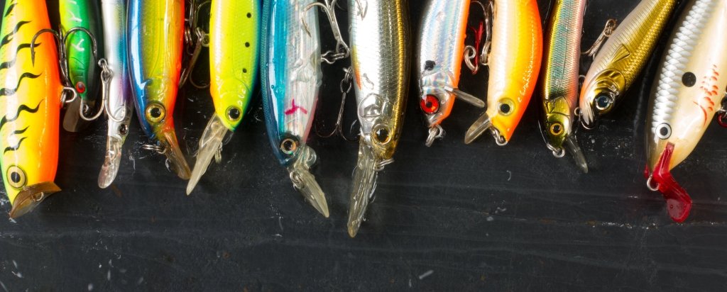 Saltwater Lures & Soft Baits - Fish City Hamilton