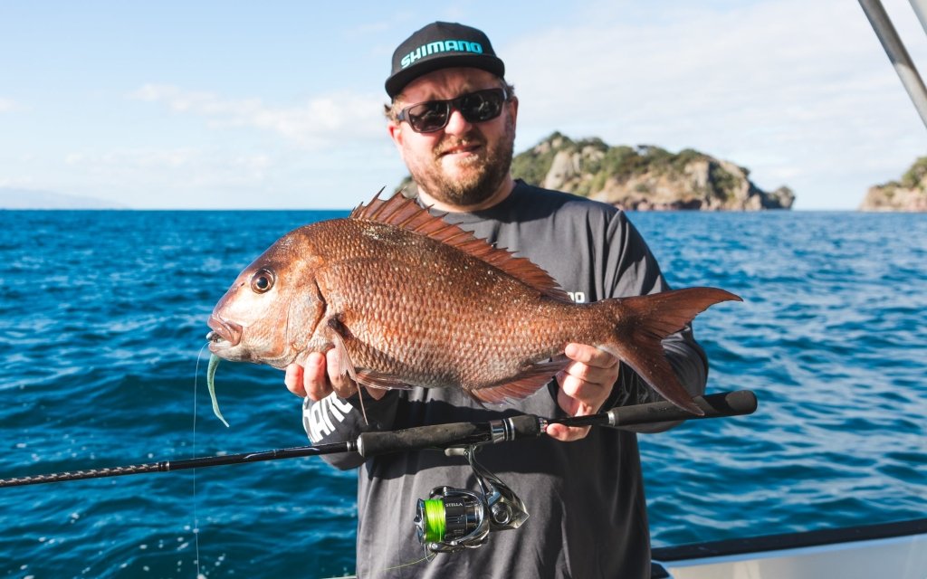Saltwater Softbait Spin Reels - Fish City Hamilton