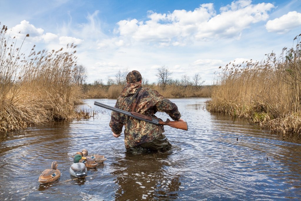 Waterfowl & Gamebird Hunting - Fish City Hamilton